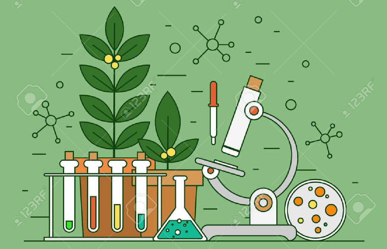 BIOLOGIA Y CIENCIA 